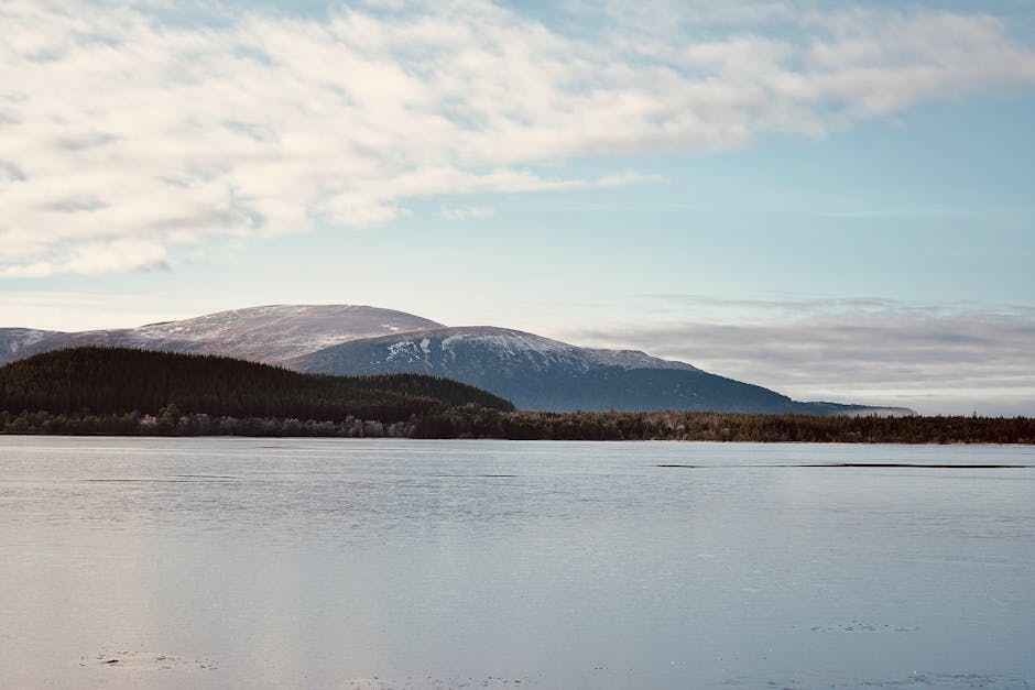 Discover The Untamed Beauty Cairngorms National Park