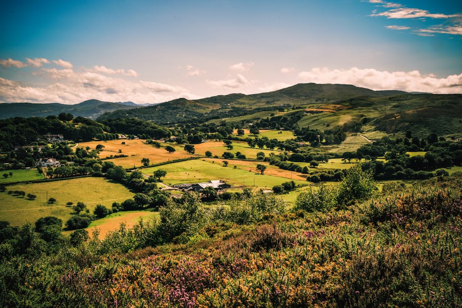 Wales Natural Beauty breathtaking landscape, lush greenery, scenic views
