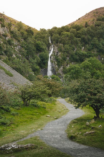 Scenic landscapes, nature, wildlife, mountains, coastlines, waterfalls