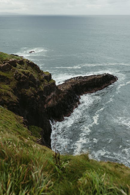 Northern Ireland scenic landscapes and wildlife